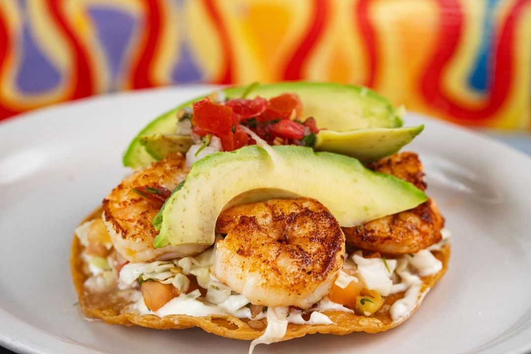 Shrimp Tostada